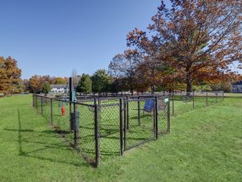 A fenced area in a park with a blue chair and a red fire hydrant.